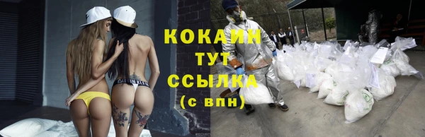 амф Белокуриха
