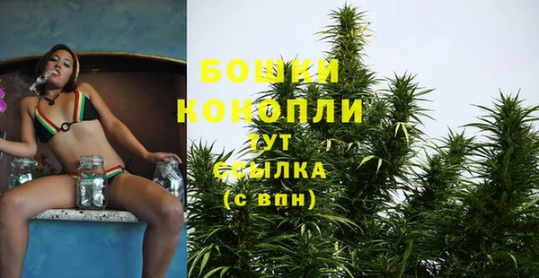 амф Белокуриха