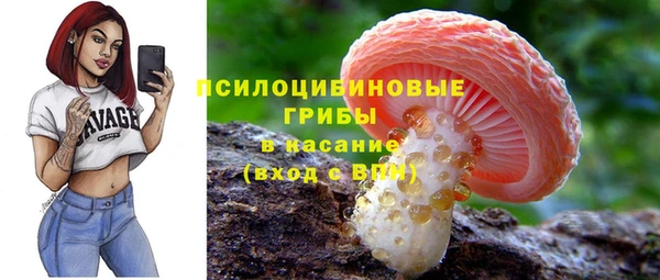 амф Белокуриха