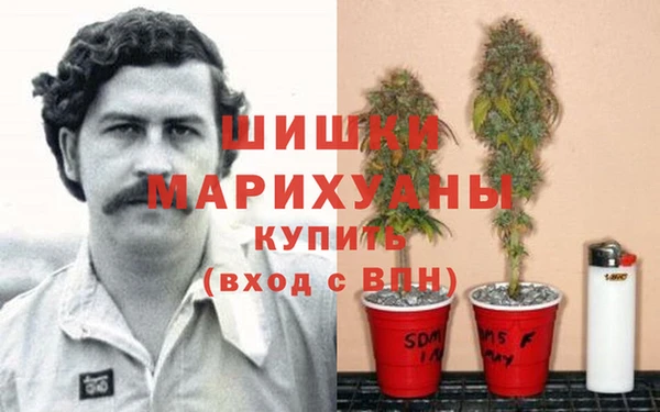 амф Белокуриха