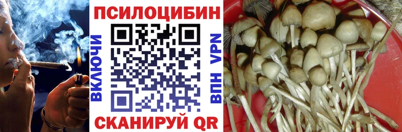 Галлюциногенные грибы Magic Shrooms Красный Холм