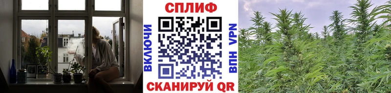 наркотики Красный Холм Канабис ГИДРОПОН